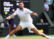 开云体育在线-关于意大利网球队爆冷英国网球队，德约科维奇制霸全场的信息