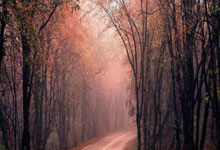 开云体育APP下载-HLE碾压FNC，Ssumday关键制胜：你不知道的电竞神奇时刻