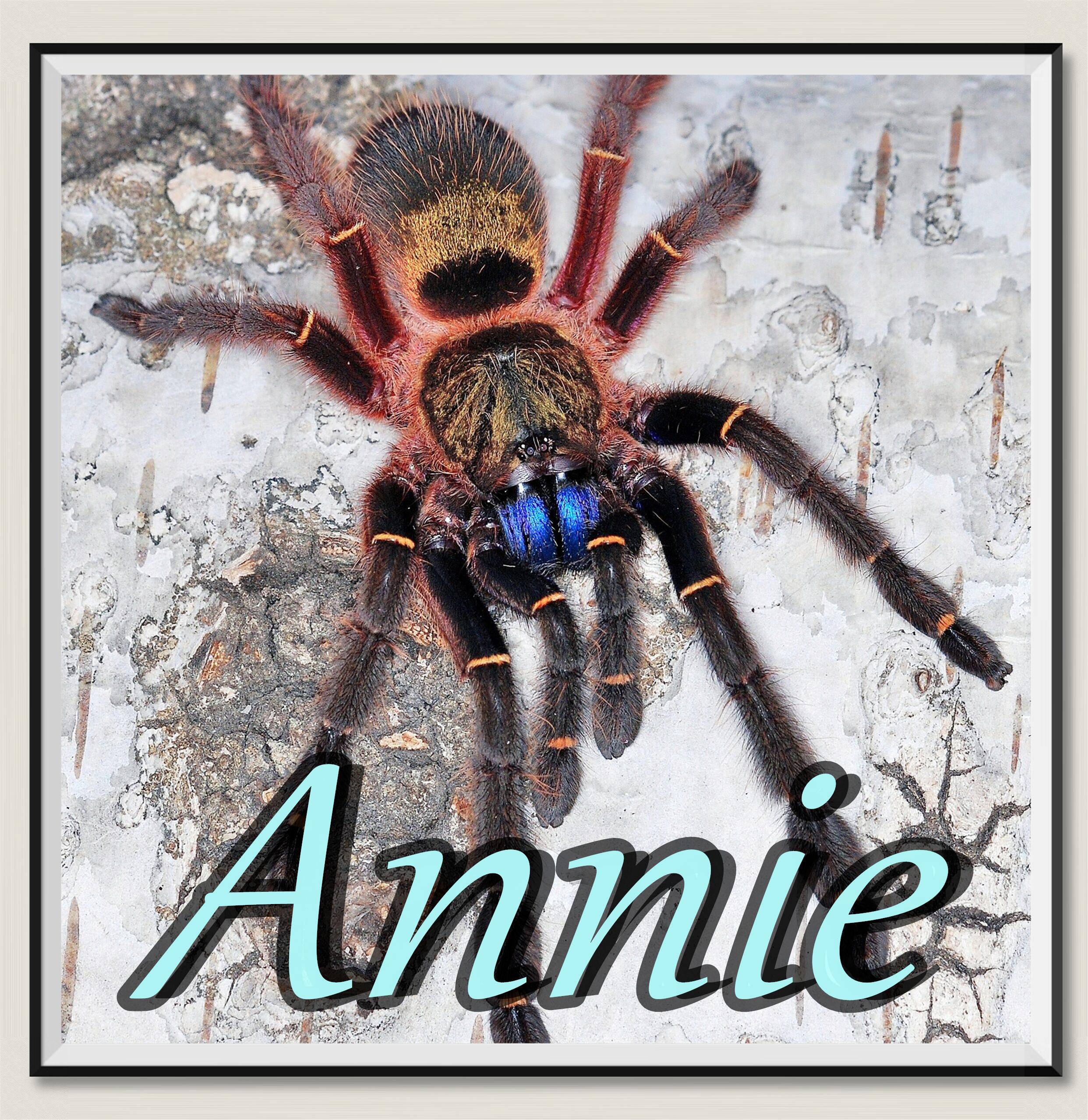 关于法属圭亚那队蓄势待发欧预赛的信息 关于法属圭亚那队蓄势待发欧预赛的信息