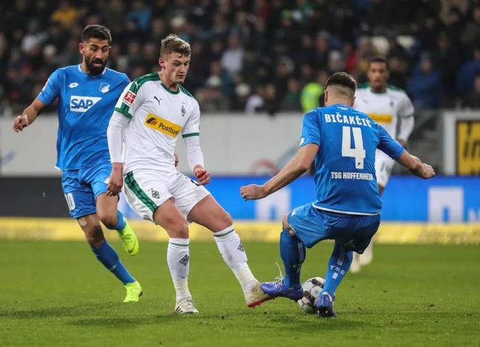 霍芬海姆称霸德国足球联赛赛场的简单介绍