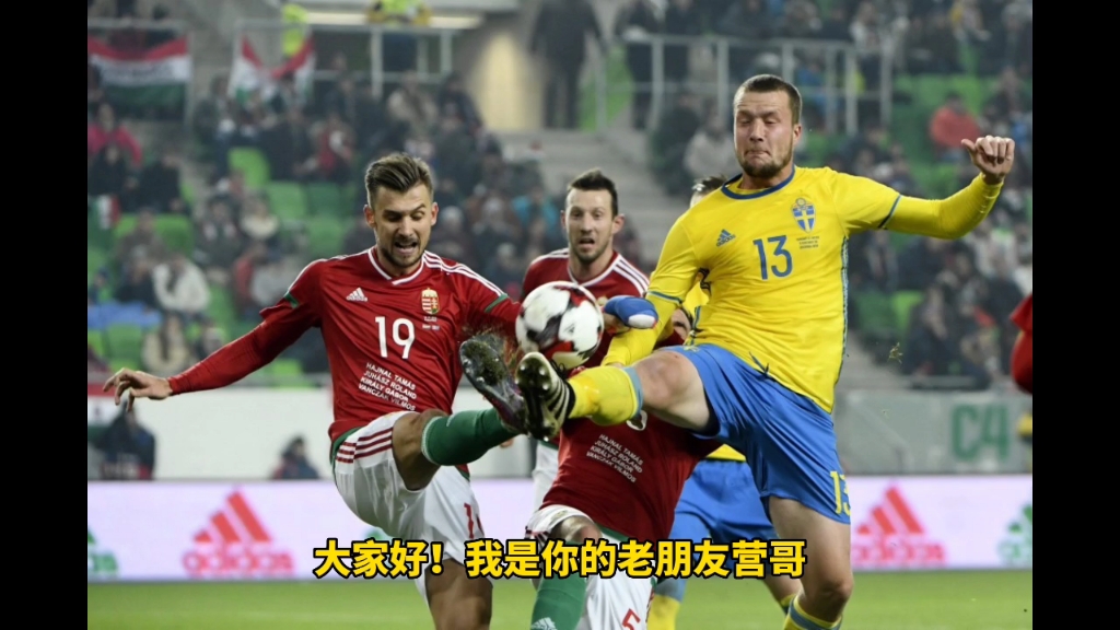 瑞典备战欧预赛,球迷期待好表现 瑞典备战欧预赛,球迷期待好表现