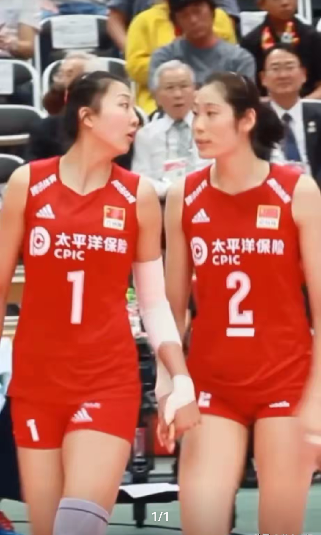 中国女排战胜荷兰跻身半决赛 中国女排战胜荷兰跻身半决赛