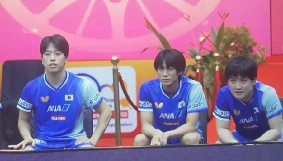 中国队险胜德国队,张本智和惊艳四座 中国队险胜德国队,张本智和惊艳四座